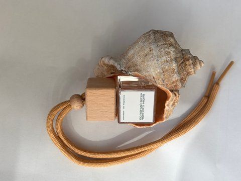 Парфум для авто Солоний вітер Чорного моря au05 фото